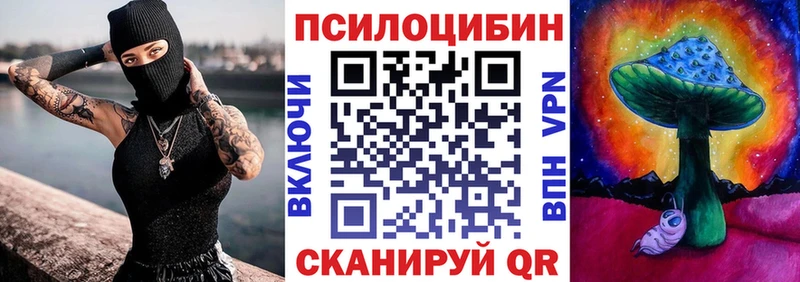 цена   Кашира  ОМГ ОМГ маркетплейс  Псилоцибиновые грибы мицелий 
